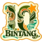logo bintang10